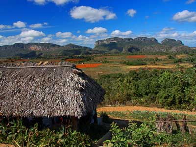 Voyage chez l'habitant à Cuba Paysage cubain Vinales