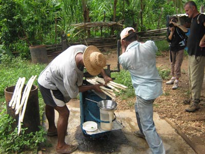 Excursion El Pilon degustation canne a sucre