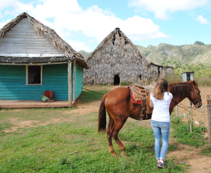 Excursion a cheval Vinales