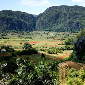 Excursions à Vinales Voyage chez l'habitant à Cuba 