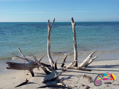 Plage de rêve Cayo Levisa Cuba