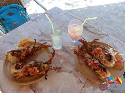 Langouste sur la plage Cayo Levisa Cuba