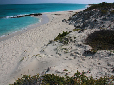 playa cayo santa maria