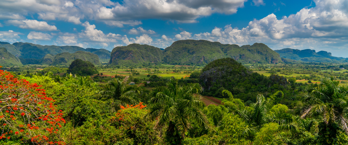 Baroudeur "La Perle des Caraïbes"   circuit voyage chez l'habitant à Cuba