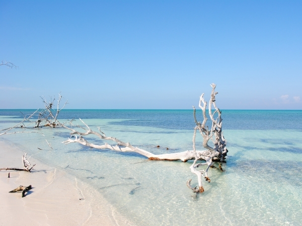 voyage cuba chez l habitant plage paradisiaque de l ile de cayo levisa