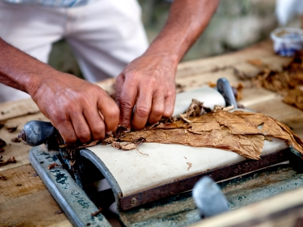 voyage cuba chez l habitant rencontre avec un artisan rouleur de cigares