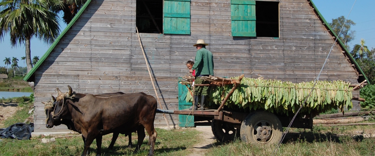 Grand tour de Cuba circuit voyage chez l'habitant à Cuba