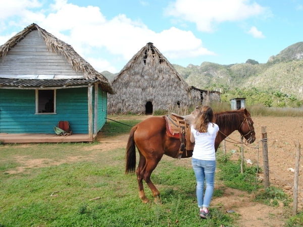 Voyage chez l'habitant à Cuba randonnee a cheval au coeur de la vallee de vinales