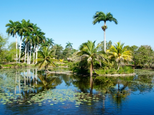 balade en bateau sur la laguna del tesoro a guama