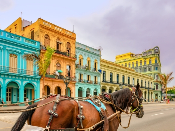 Voyage chez l'habitant à Cuba promenade en caleche a cienfuegos