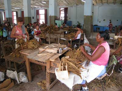 fabrique de cigares à Pinar del Rio